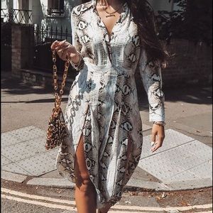 Topshop Snakeskin Pleated Dress